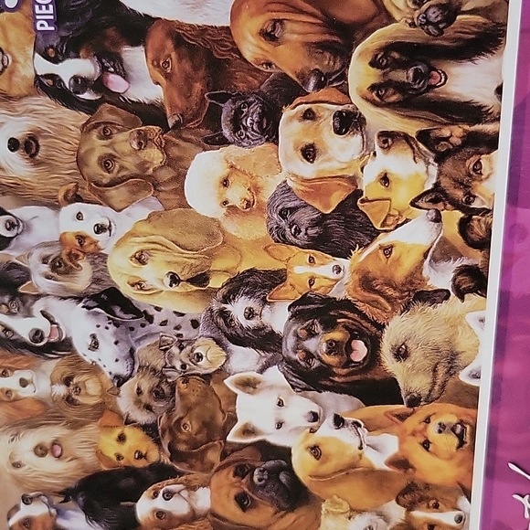 500 piece Dog Puzzle - Picture 8 of 8
